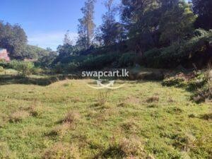 Land for sale in ambewela , nuwara eliya