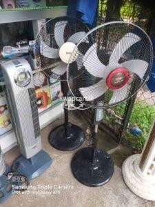 Pedestal fan for sale