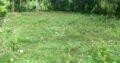 Land for sale in Mawathagama