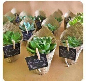 Cactus wedding gifts